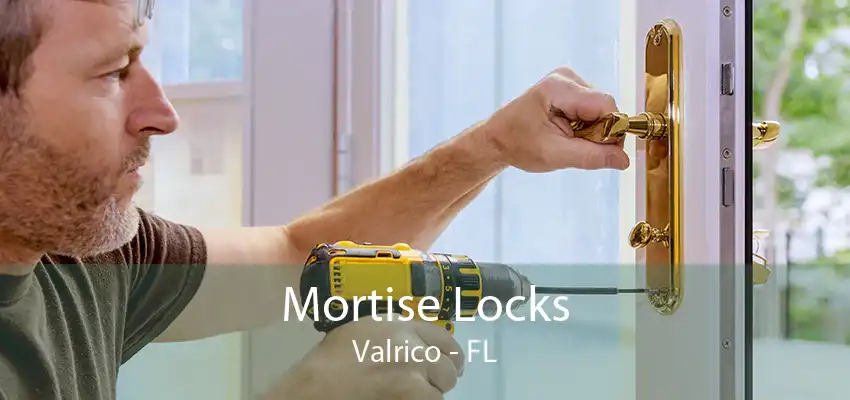 Mortise Locks Valrico - FL